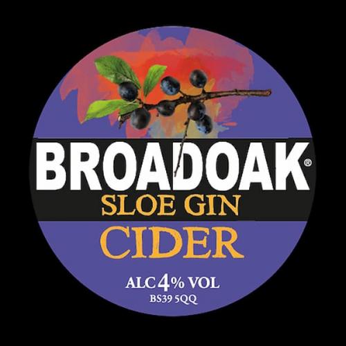 Broadoak Sloe Gin Cider 4.0%
